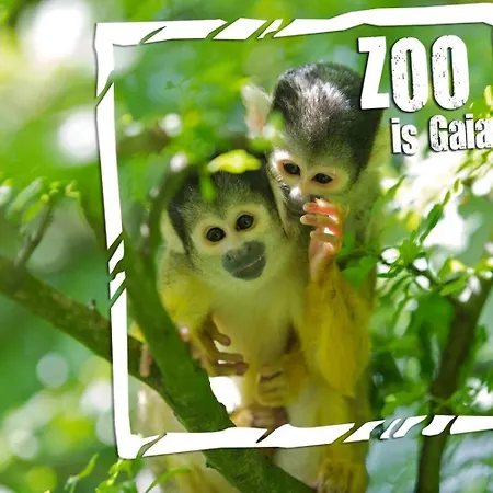 Vakantiehuis Huuske14 *