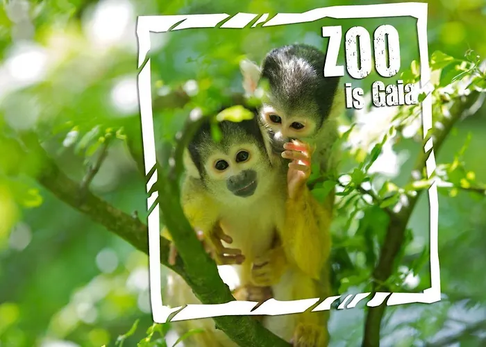 Дом отдыха Huuske14 *